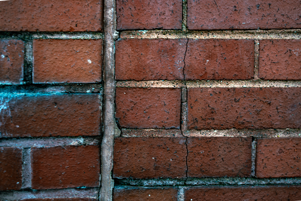 Red brick wall my grandfather built, Mitcham, Nikon D750 24mm f2.8