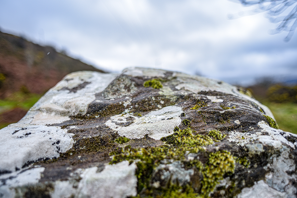 Standing stone, standing still, Graves of the Leinstermen, Tipperary, Nikon D750, 24mm