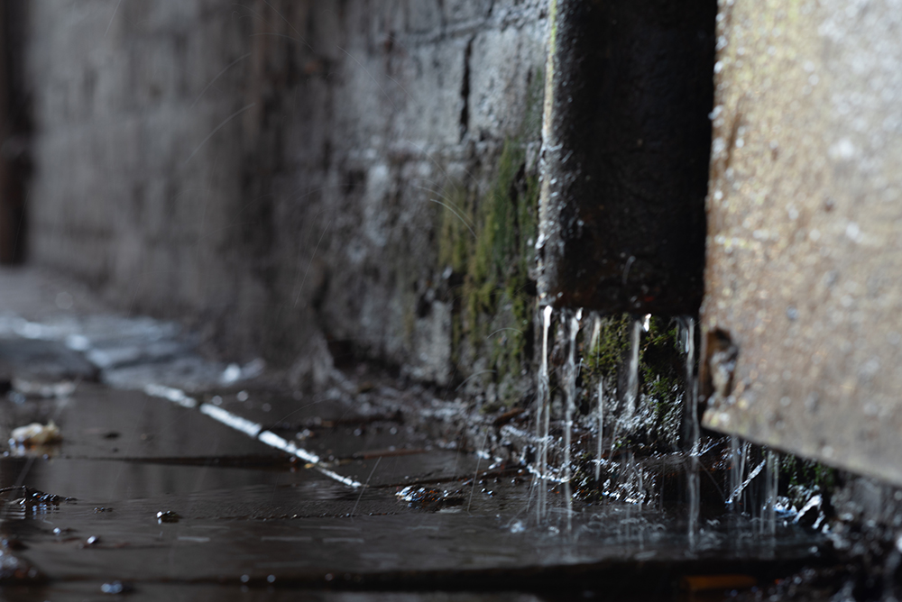 Moss enjoys a rainy day in London