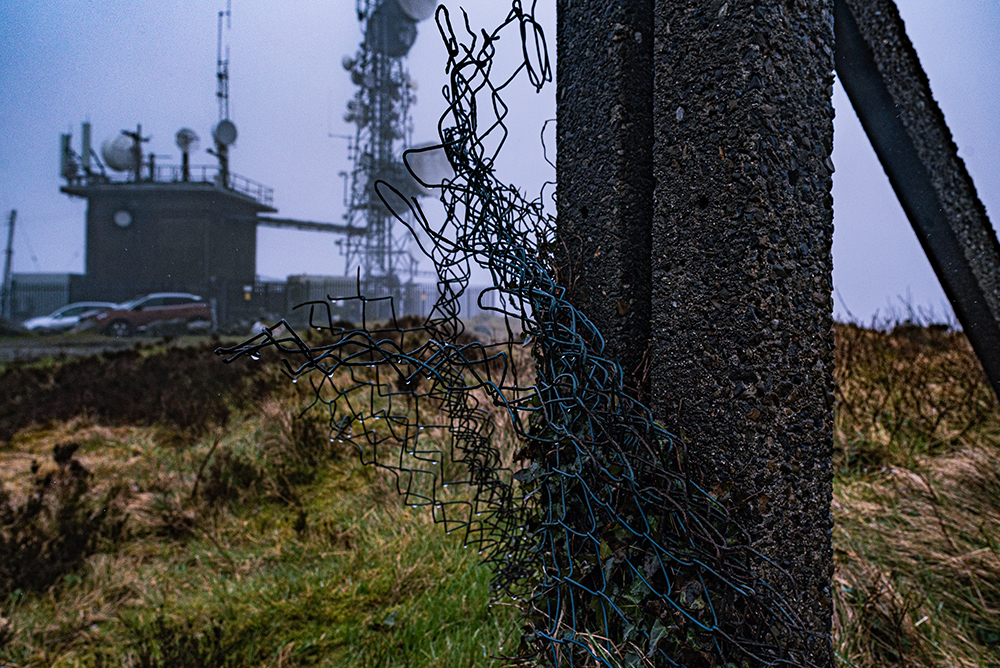 Once I was a fence