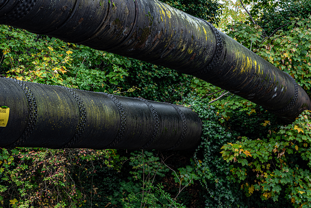 Electrical Cable Conduit, River Lea Navigational, Nikon D750 85mm