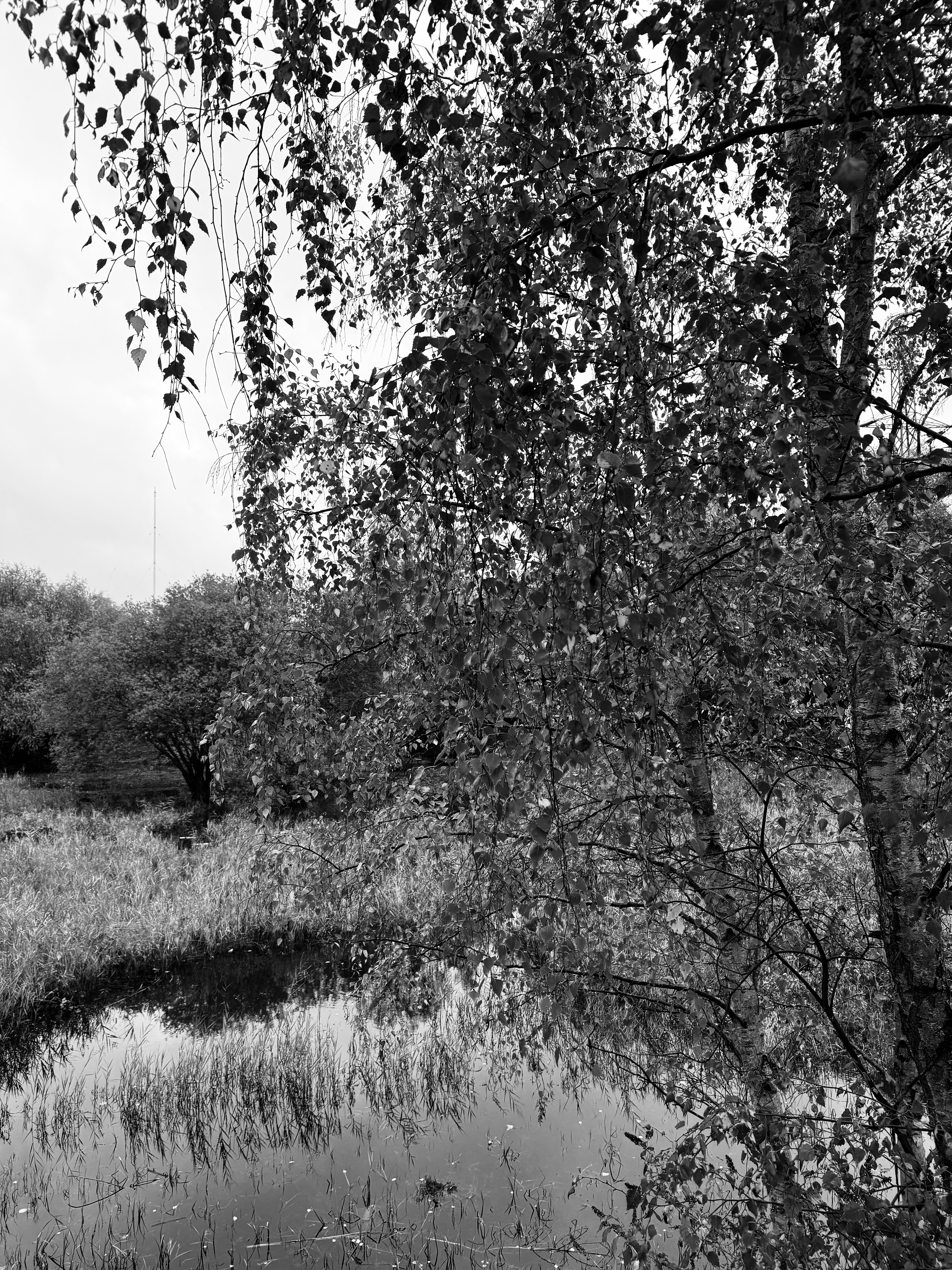 Middlesex Filter Beds, Lea Valley, iPhone 15 Pro Max
