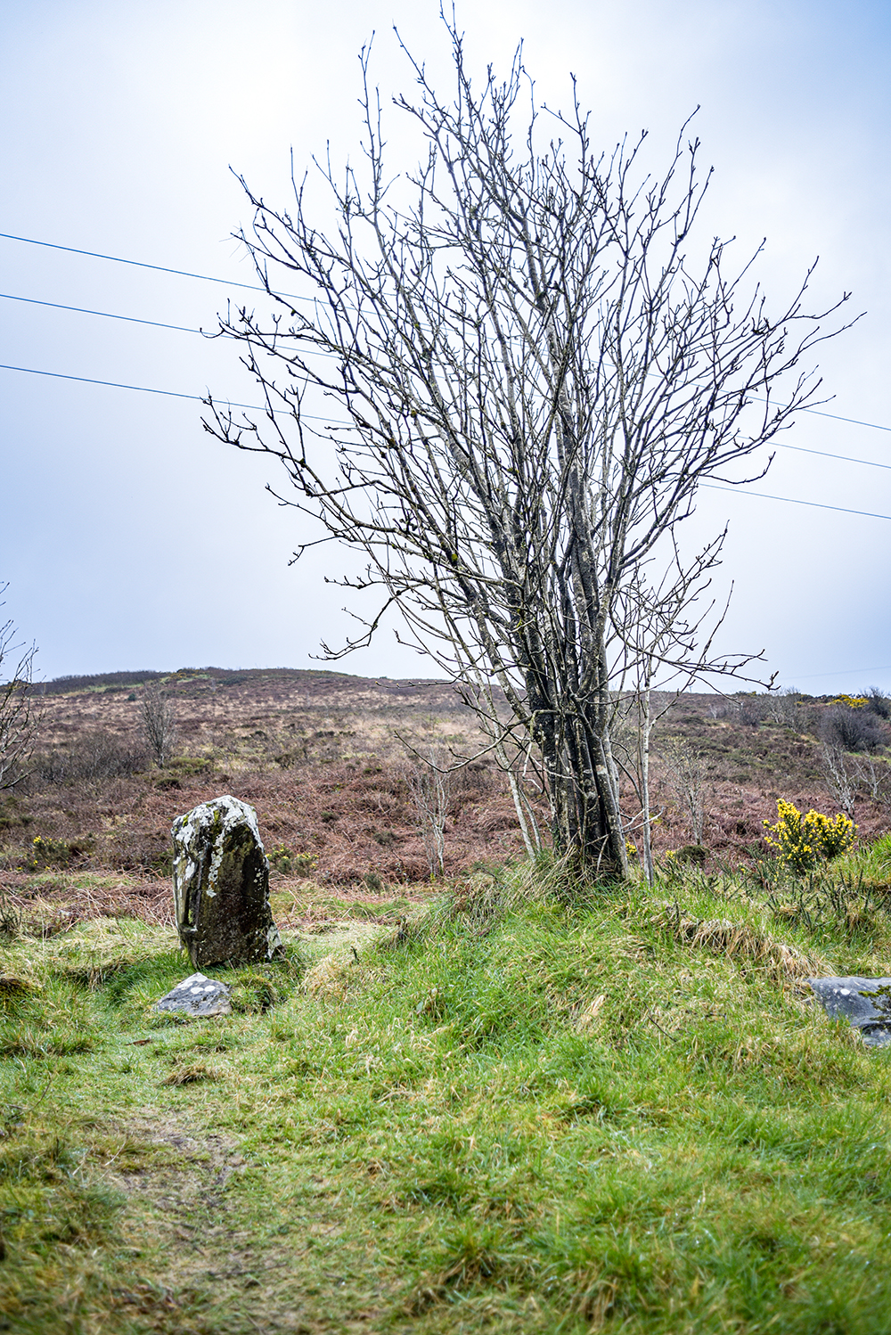 A still standing stone beneath grey skies, echoing ancient stories – part of The Graves of the Leinstermen photo sequence