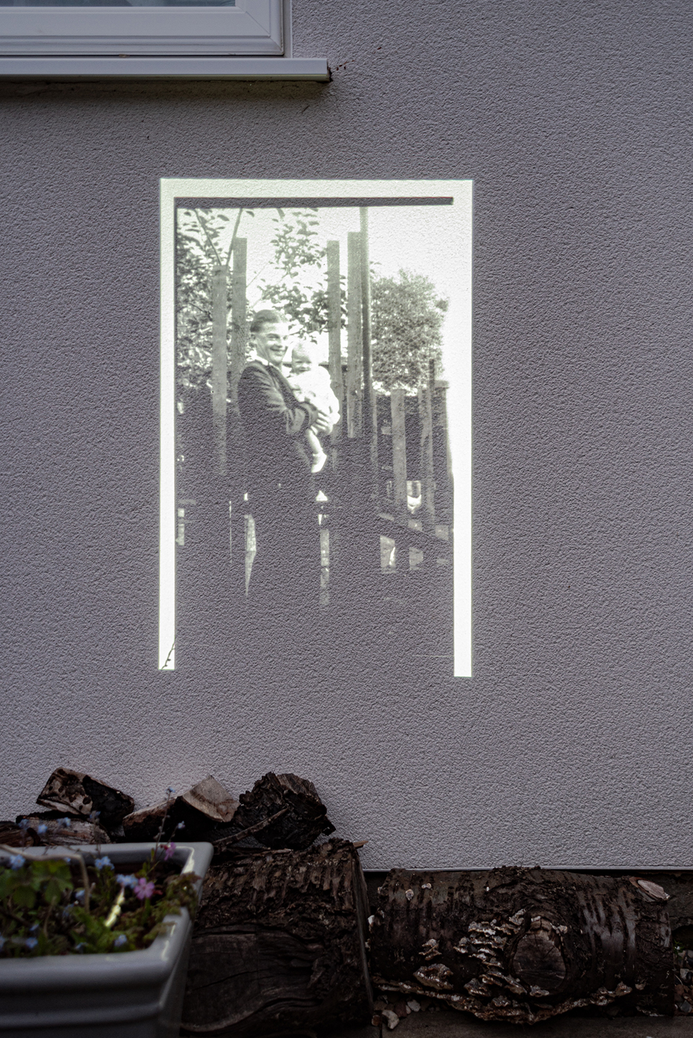 Projected photograph of Lewis James Block onto house wall, forget-me-nots in the foreground
